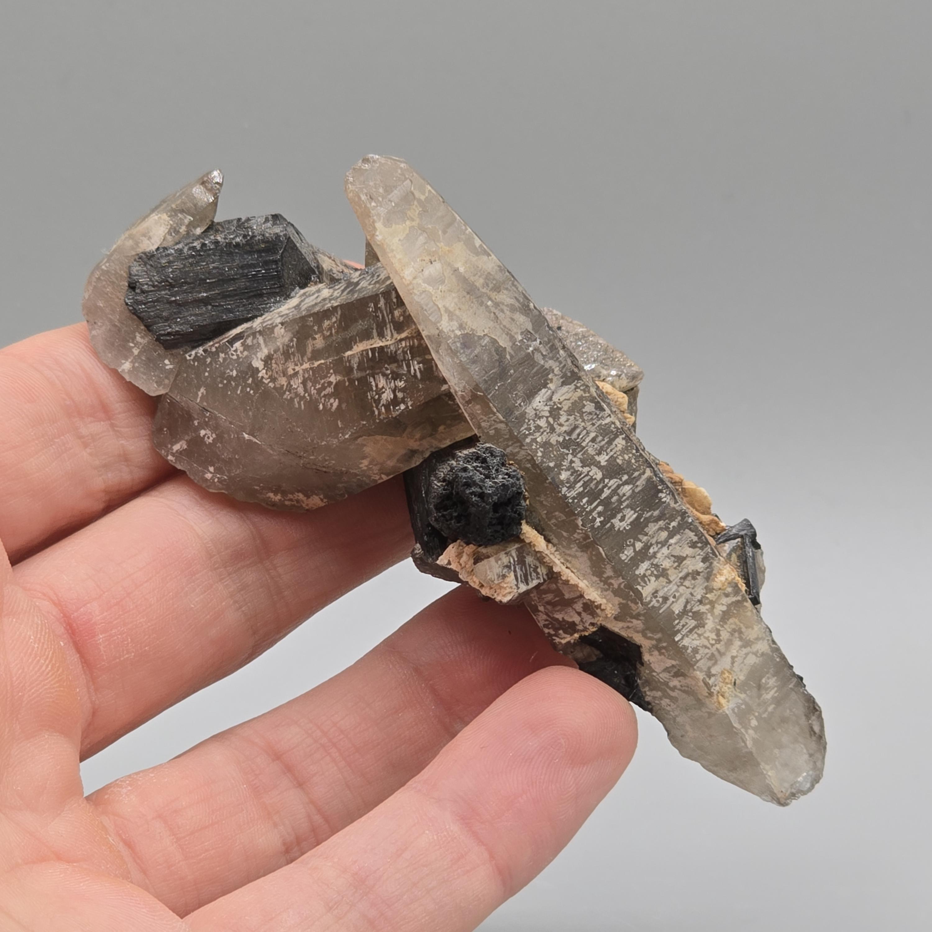 ナミビア エロンゴ産 ライトスモーキークォーツショールクラスター  玉滴石付き ナミビア、エロンゴ山脈産のスモーキークォーツとショールトルマリンの