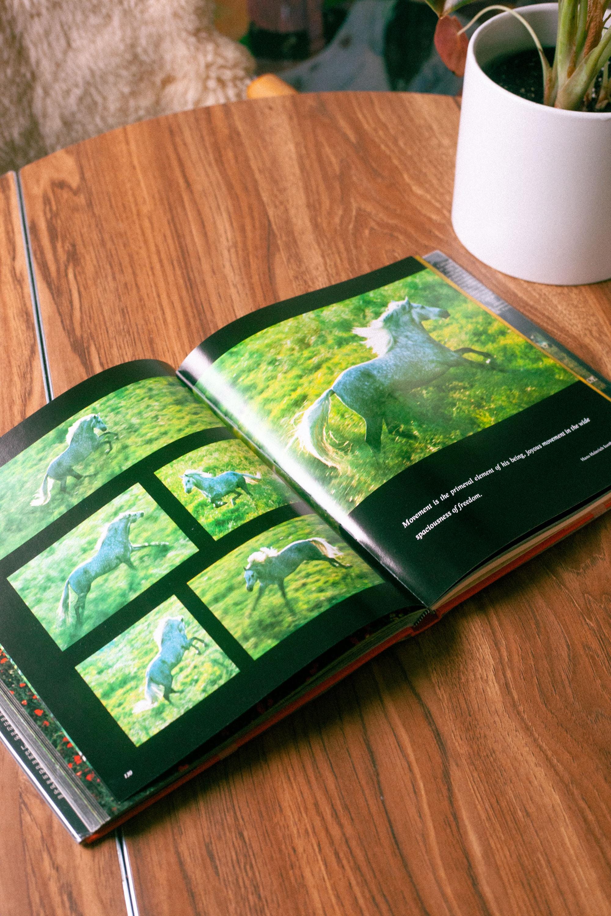 Equis Book Equus: the Creation of a Horse ~ 70s Photography + Poetry Coffee Table ...