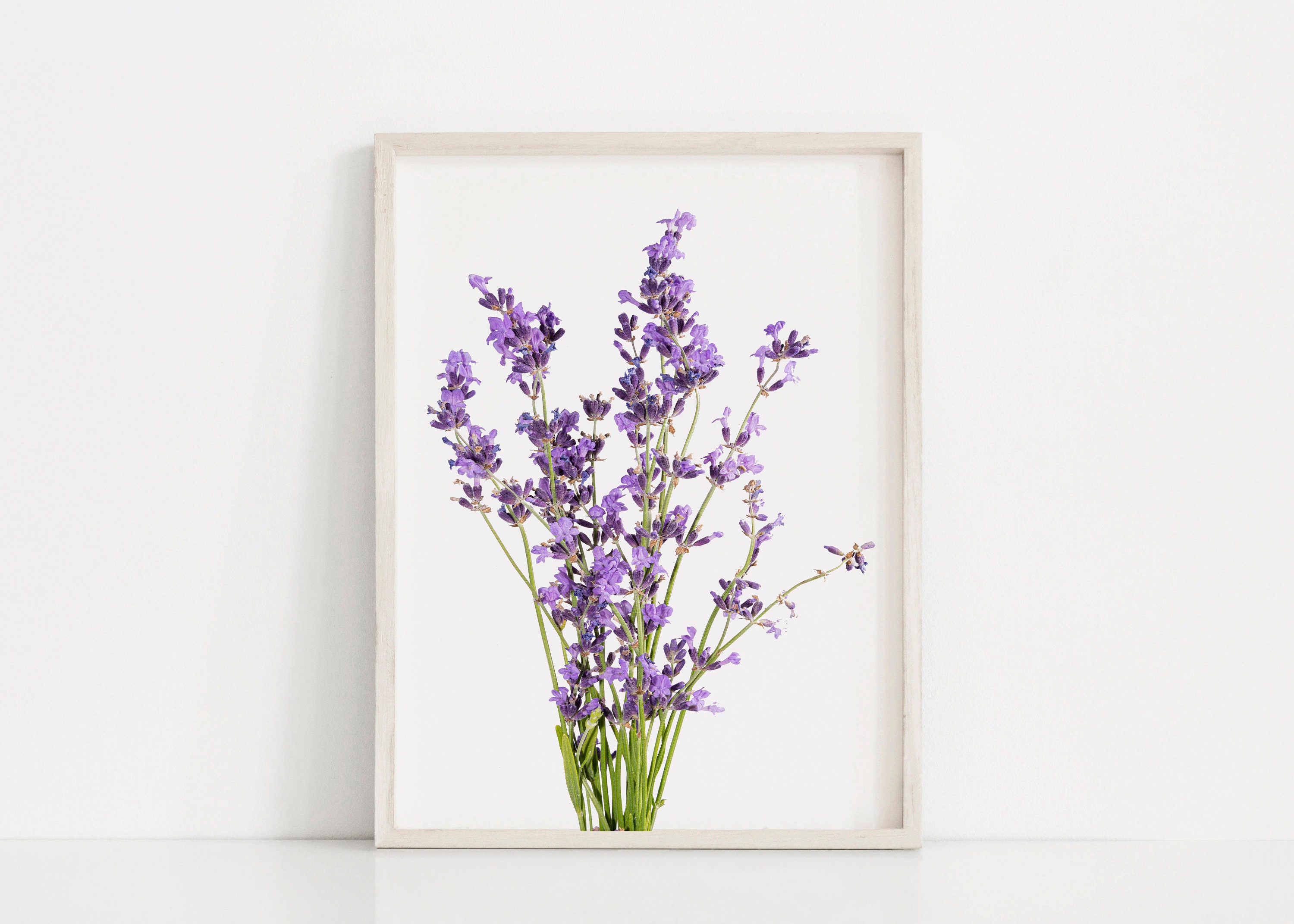 Lavendel Kunstdruck Wandkunst Lavendel Art Deco Bauernhaus | Etsy