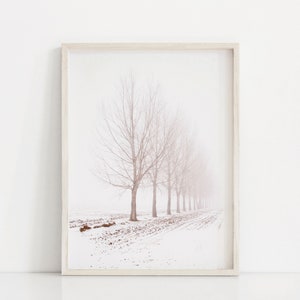 Wall Art, Black and White Art, Fine Art Photo, Trees Art, Winter Wall Art, Frosty Trees Art,Foggy Trees Art Photo, Minimalist Trees, Digital