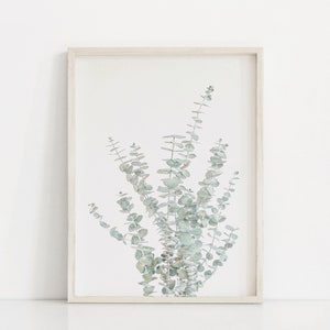 Eucalyptus Wall Art, Printable Wall Art, Eucalyptus Leaves, Botanical Wall Art, Pastel Wall Art, Eucalyptus Wall Art, Botanical Art Print