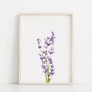 Lavender Art Print, Wall Art, Lavender Art Deco, Farmhouse Wall Print, Minimalist Print, Printable Wall Art, Bathroom Deco, Kitchen Deco