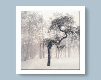 Winter Trees - Set of 6 Ink Nature Scene Cards - Snowy and wintery landscapes with unique and detailed trees