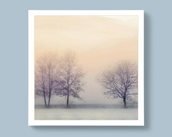 Cold Winter Trees with Mist and Snow, Blank or Personalised Message for Special Ones