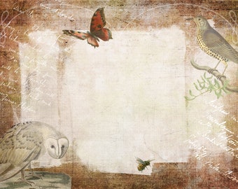 Ephemera Birds Bee and Butterfly Junk Journal Scrapbook Digital Download 2 Sheets High Res A4 Paper