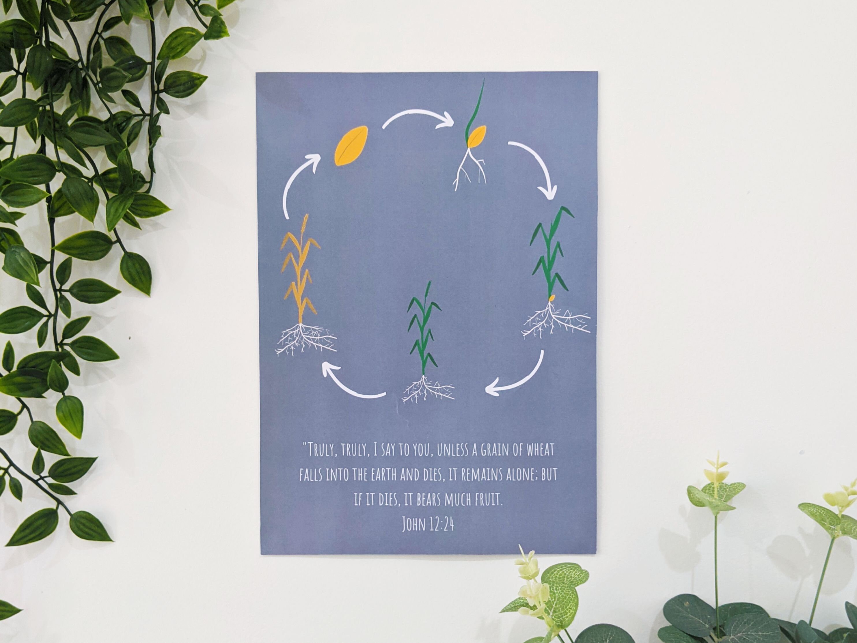 Printable Wheat Poster Parable Wheat Life Cycle Etsy Printable Wheat Poster Parable Wheat Life Cycle Etsy