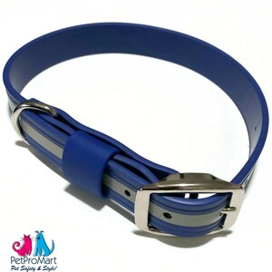 Może przedstawiać: Niebieski i srebrny odblaskowy obroża dla psa ze srebrną klamrą.