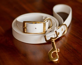 Handcrafted BioThane® Dog Collars and Leashes By PetProMart | Handmade using BioThane® Beta® Webbing