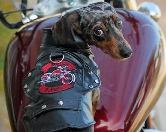 small dog leather jacket