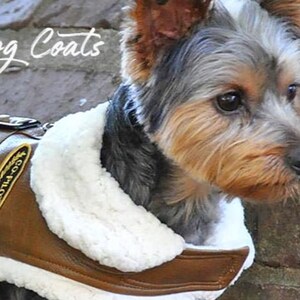 Dog flying store jacket