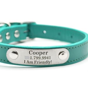 May include: Teal leather dog collar with a silver name tag that reads "Cooper 1.799.9941 I Am Friendly!"