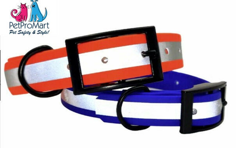 Red and Blue Reflective Hunting Dog Collars with Black Hardware
