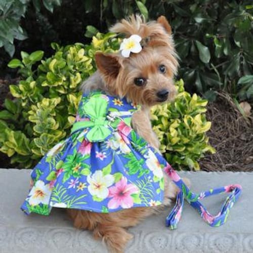 Blue Polka Dot Dog Dress With Matching Leash by Doggie Design Etsy