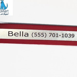 Personalization on a red reflective Biothane strap.