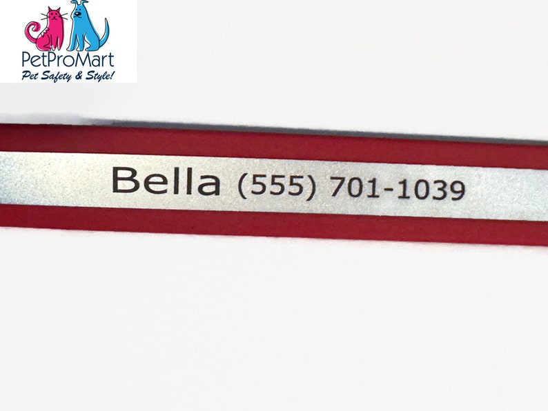 Personalization on a red reflective Biothane strap.