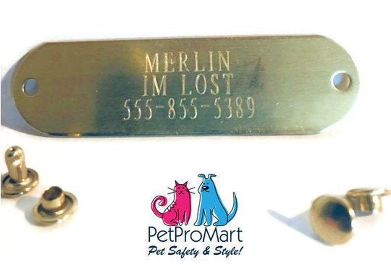 Custom Brass Rivet Tags Personalized Engraved Collar Pet ID Etsy
