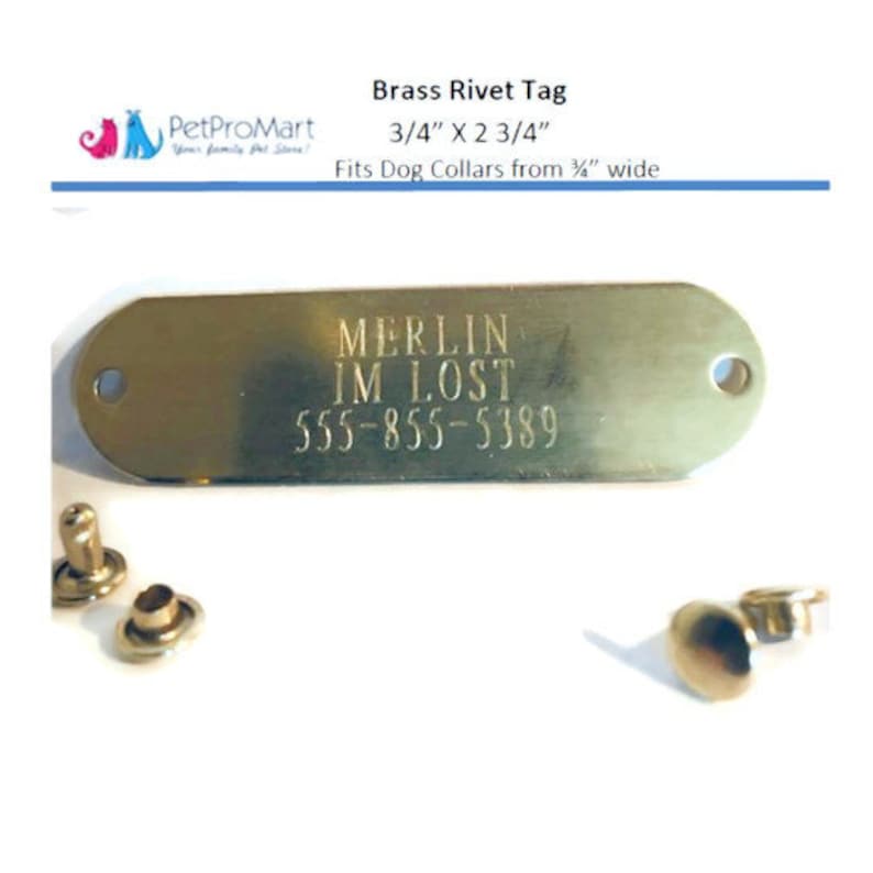 Custom Brass Rivet Tags | Personalized Diamond Engraving Collar Custom Brass Rivet Tags | Personalized Diamond Engraving Collar