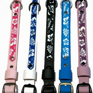 May include: Five dog collars with different colored straps and buckles. The straps have a white floral pattern on them. The colors are pink, white, black, blue, and purple.
