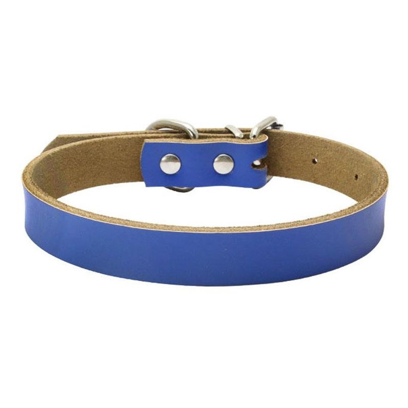 Personalized Leather Dog Collars With Matching Rivet Tag Etsy