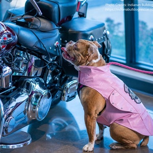 Biker Dawg Motorcycle Dog Jacket - Available in Black or Pink