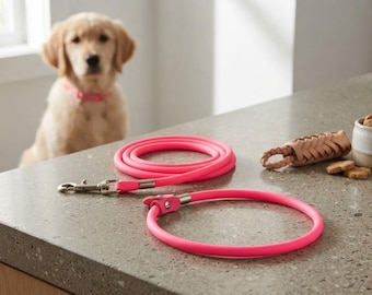 BioThane Slip Dog Collar and Leash Set – Waterproof Training, Granite Coated