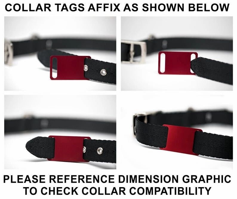 Slide on Pet ID Tag for Dog Collars Personalized Engraved Etsy