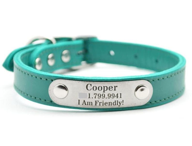 May include: Teal leather dog collar with a silver name tag that reads "Cooper 1.799.9941 I Am Friendly!"