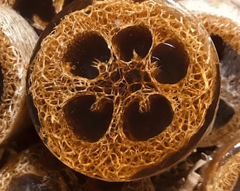 Coffee House Loofah Soap