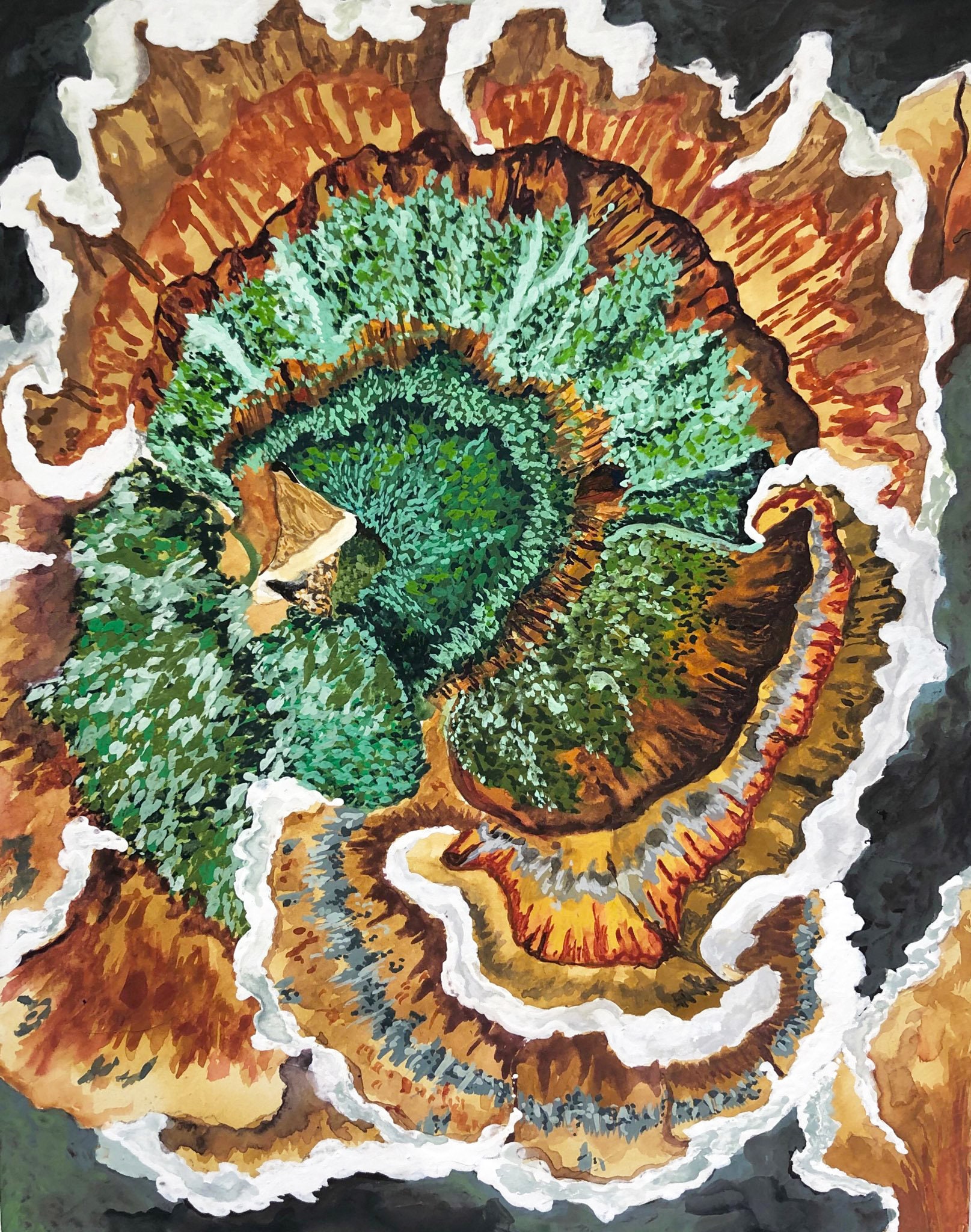 Turkey Tail Mushroom Print - Etsy