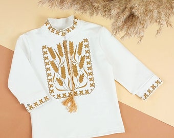 Embroidered Vyshyvanka Shirt for Boys | Ukrainian Embroidery Shirt | Traditional Ukrainian Style Gift in Stock in USA | Вишиванка у США (44)