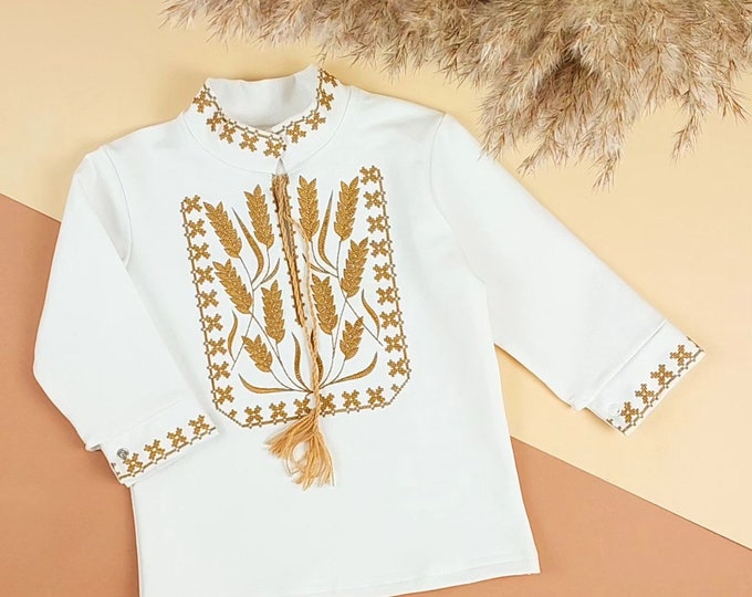 Embroidered Vyshyvanka Shirt for Boys | Ukrainian Embroidery Shirt | Traditional Ukrainian Style Gift in Stock in USA | Вишиванка у США (44)