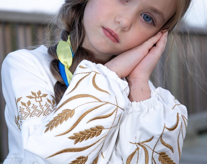 Embroidered Vyshyvanka Dress for Girls | Ukrainian Embroidery Dress | Traditional Ukrainian Style in Stock in USA | Вишиванка у США