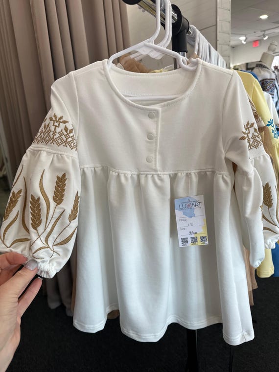 Embroidered Vyshyvanka Dress for Girls | Ukrainian Embroidery Dress | Traditional Ukrainian Style in Stock in USA | Вишиванка у США