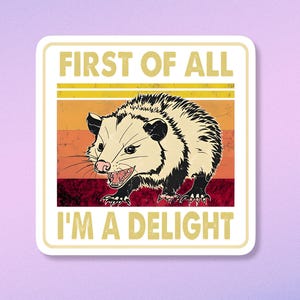 First of all I&#39;m a delight, possum sticker, sarcastic stickers, kindle decal, computer stickers, funny sticker, meme stickers, sassy sticker