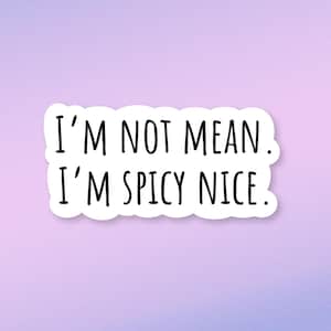 I&#39;m not mean, I&#39;m spicy nice sticker, computer sticker, funny quote stickers, funny saying sticker, laptop decal, funny sticker, snarky