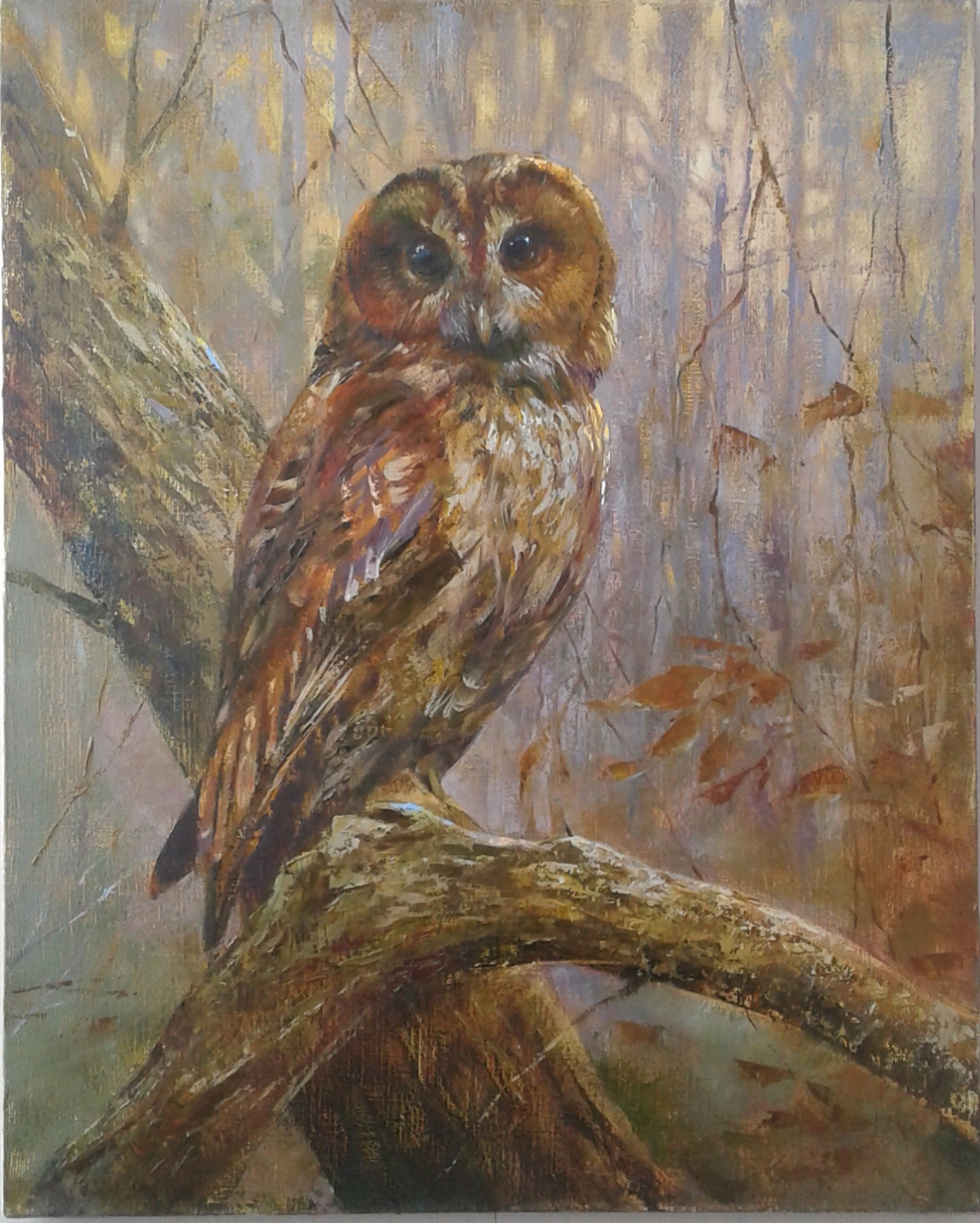 Owl 6 Oil Painting On Canvas Original 20x16 Modern Wall Etsy Il 1588xN.2812844876 6ea1