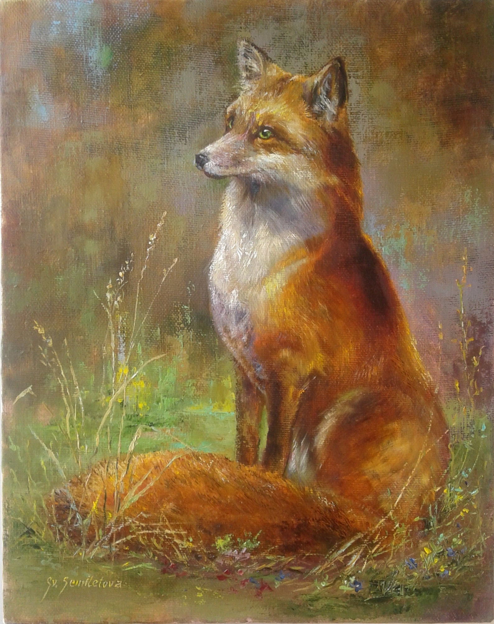 Fox. Oil painting canvas. 50x40 cm 20 x 16 inches Etsy