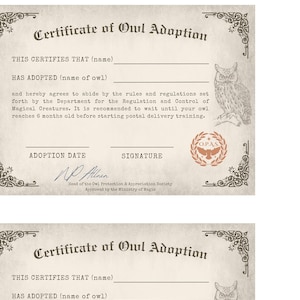 Printable Owl Adoption Certificate for Witchy Themed Party Decoration and Activities - Etsy