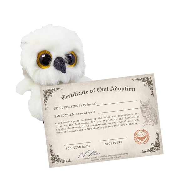 Printable Owl Adoption Certificate For Witchy Themed Party Decoration And Activities