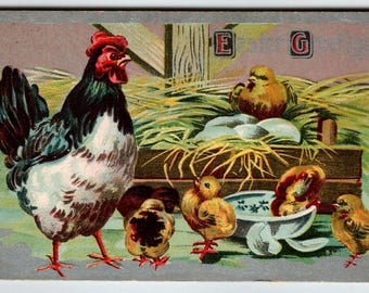 Easter Postcard Rooster Hen Baby Chicks Embossed 1910 Barn Hay Stacks Vintage Unique Gift