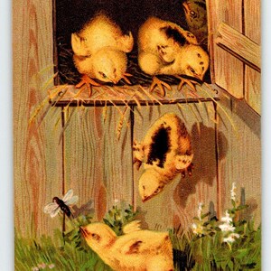 Ostern Postkarte Baby Küken jagt Fliegen Insekt Käfer Käfer Scheunentor Geprägtes Deutschland Einzigartiges Geschenk