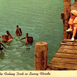 Angeln Dock schwarz braun Katze Kind Junge Pelikane Florida Postkarte Fotochrom einzigartiges Geschenk
