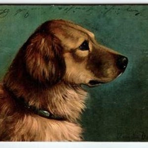 Vintage 1906 Dog Puppy Portrait Postcard with Undivided Back and Stamp