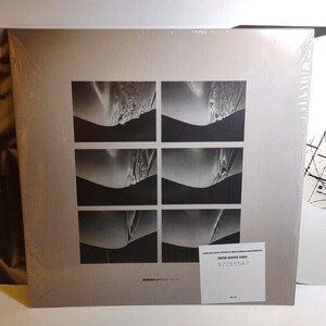 Vaniish Memory Work Vinyl LPレコード ポストパンク エレクトロニック ゴス ロック 限定 ホワイト ヴィンテージ