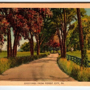 Carte postale en lin de Forest City, Pennsylvanie, Greetings From Vintage 1948 Walkway