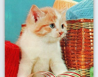 Orange & White Kitten Cat Postcard Chrome Unposted Vintage Dexter Cute