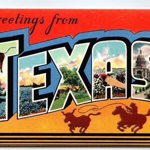 Salutations du Texas, grande lettre, grande carte postale d'État Cowboy sur cheval lasso taureau