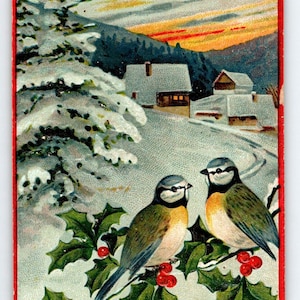 Carte postale de Noël oiseaux bleus-verts assis sur une branche de houx dans une corniche enneigée de l'arbre et de la maison