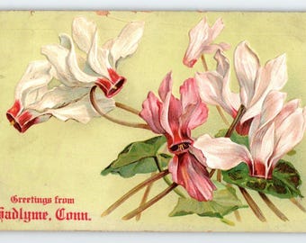 Greetings From Hadlyme Connecticut Postcard Aquarell Hand Painted Flowers 1907