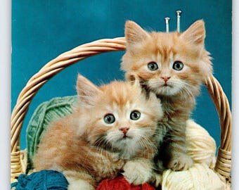 Kittens Cats In Basket Postcard Chrome Unposted Vintage Do You See What I See